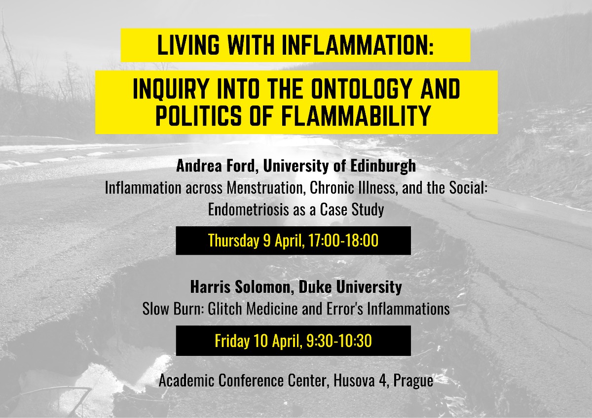 Living with Inflammation: Inquiry into the Ontology and Politics of Flammability Living with Inflammation: Inquiry into the Ontology and Politics of Flammability
